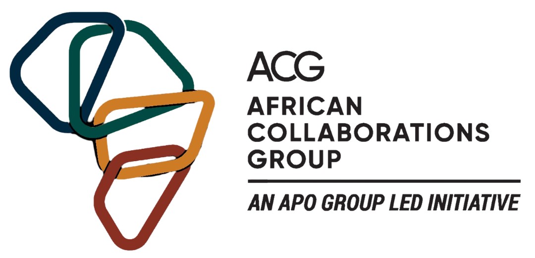 Chief Executive Officer – Infrastructure Origination and Collaboration Platform | Africa